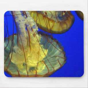 Mouse Pad - Jellyfish Musmatta