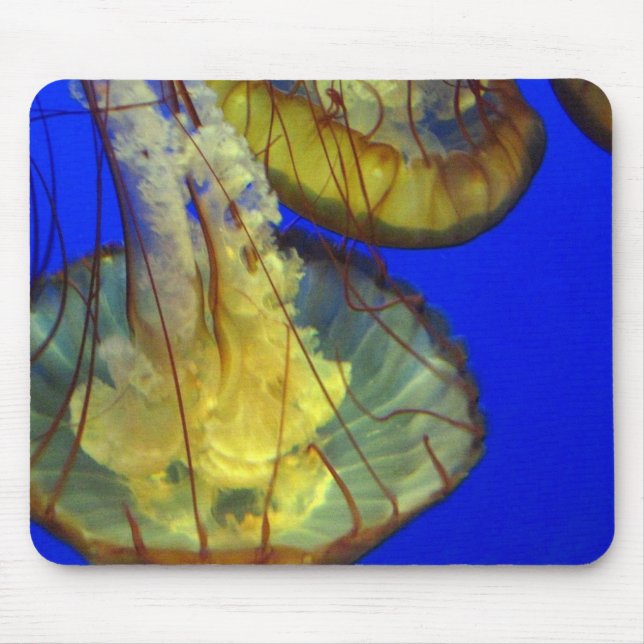 Mouse Pad - Jellyfish Musmatta (Framsidan)