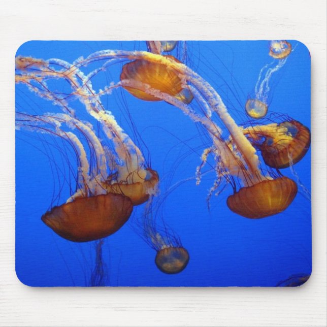 Mouse Pad - Jellyfish Musmatta (Framsidan)