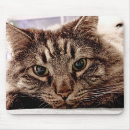 Mouse Pad Maine Coon Cat Musmatta