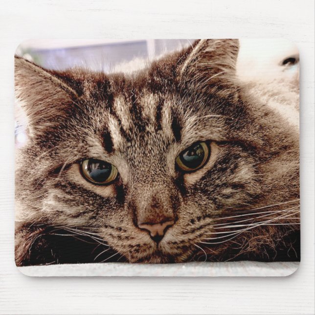Mouse Pad Maine Coon Cat Musmatta (Framsidan)