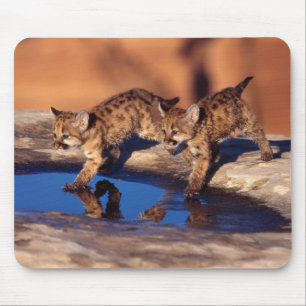 Mouse Pad-Mountain Lejona Unge Musmatta