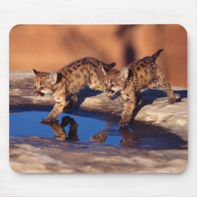 Mouse Pad-Mountain Lejona Unge Musmatta (Framsidan)
