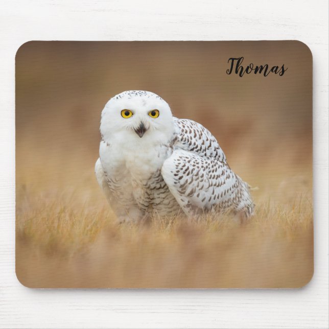 Mouse Pad Mousepad, Snowy Uggla Musmatta (Framsidan)