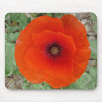 Mouse Pad. Poppy (Amapola) Musmatta