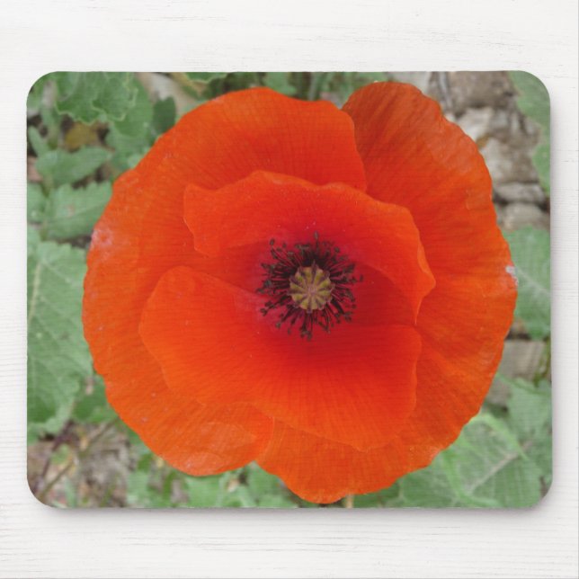 Mouse Pad. Poppy (Amapola) Musmatta (Framsidan)