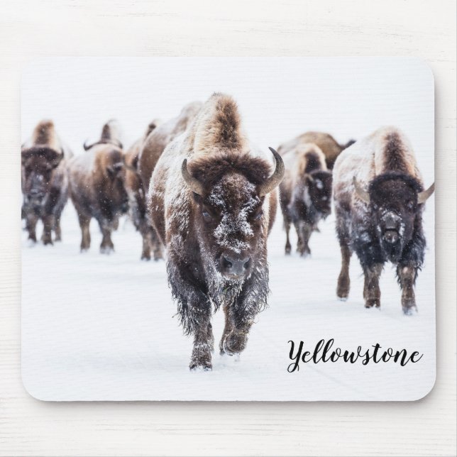Mouse Pad-Yellowstone Buffalo Musmatta (Framsidan)