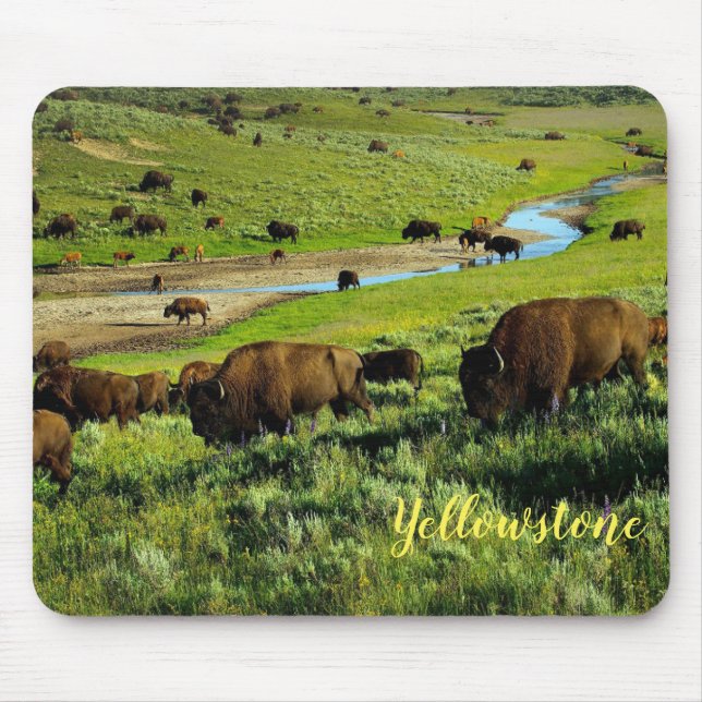 Mouse Pad-Yellowstone Buffalo Musmatta (Framsidan)