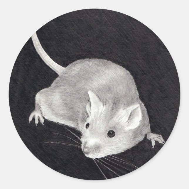 MOUSE: PENCIL REALISM ART RUNT KLISTERMÄRKE (Framsida)