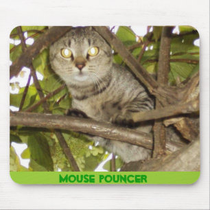 MOUSE POUNCER MUSMATTA
