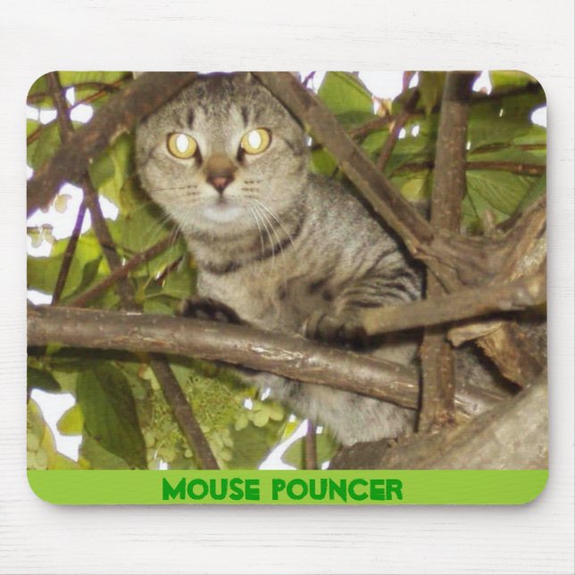 MOUSE POUNCER MUSMATTA (Framsidan)