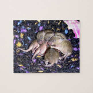 Mouse Puzzle: Baby Agouti Mice Pussel