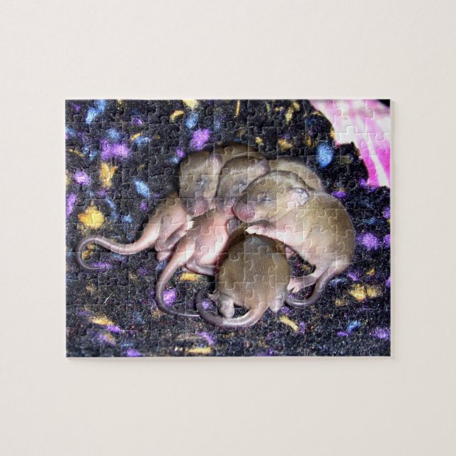 Mouse Puzzle: Baby Agouti Mice Pussel (Horisontell)