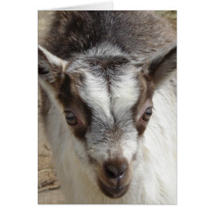 Mouse the Goat Hälsningskort