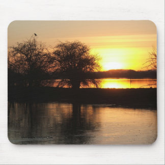 Mousemat - floder på Tewkesbury 2008 Musmatta