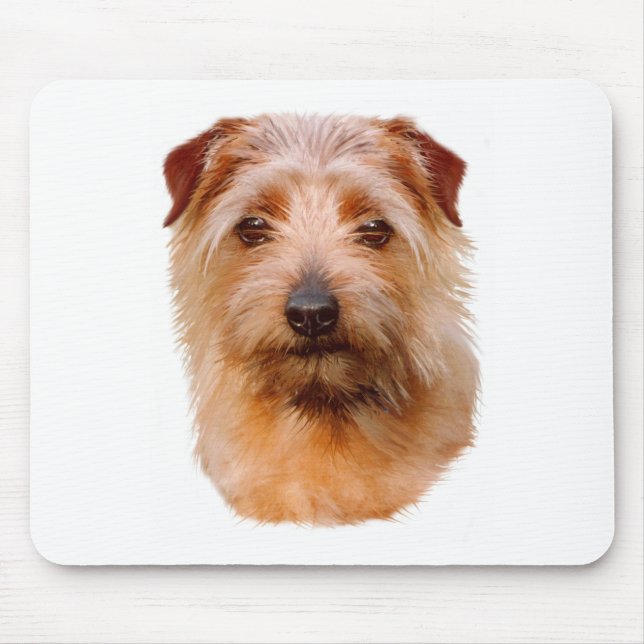 Mousemat: Hund för Norfolk Terrier Musmatta (Framsidan)