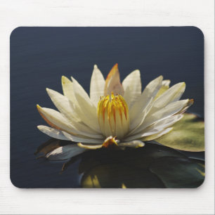 Mousemats för vitvatten lilly - anpassade musmatta