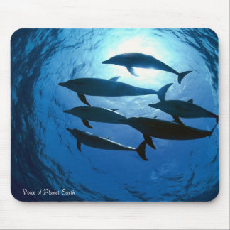 Mousepad 14 - Delfiner Musmatta