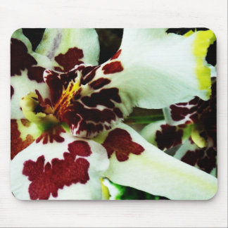 Mousepad 9 musmatta