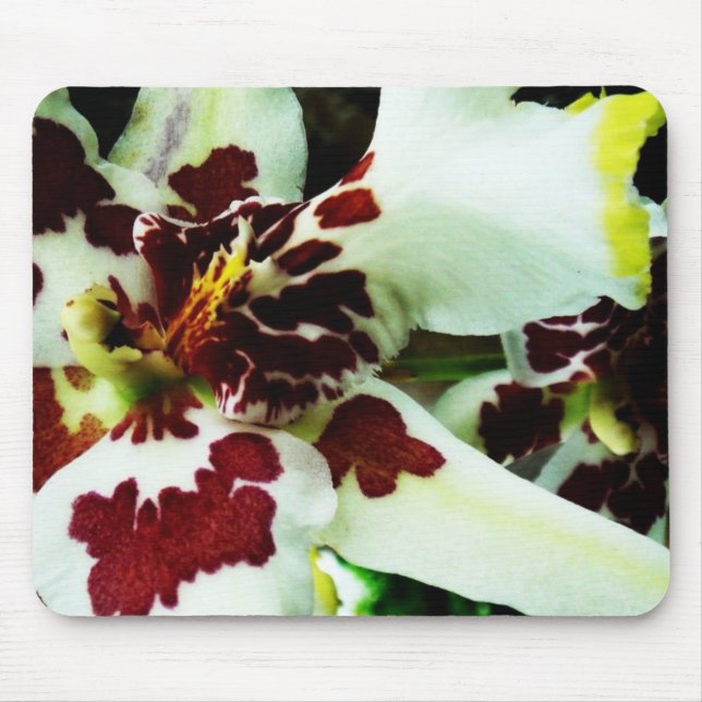Mousepad 9 musmatta (Framsidan)