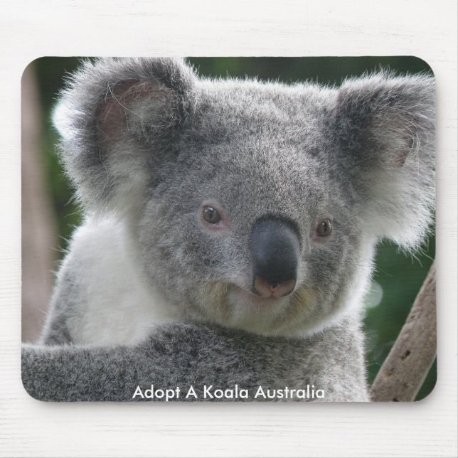 Mousepad Adopt A Koala Australia Musmatta (Framsidan)