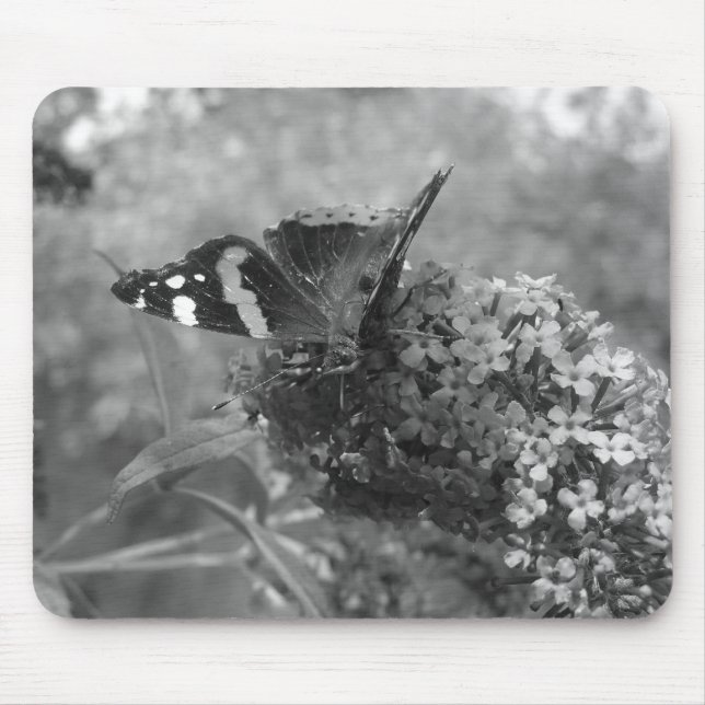 Mousepad - Amiral Butterfly in Black & White Musmatta (Framsidan)