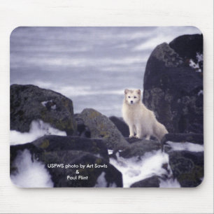 Mousepad/arktisk räv musmatta