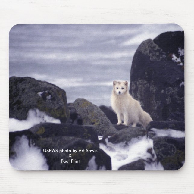Mousepad/arktisk räv musmatta (Framsidan)