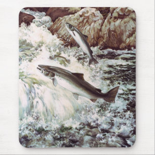 Mousepad/atlantisk lax musmatta