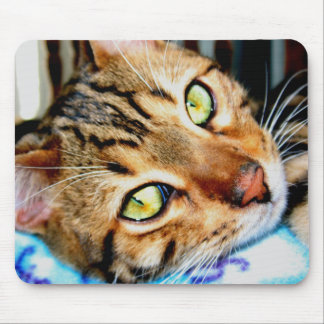 Mousepad Bengal katt Musmatta