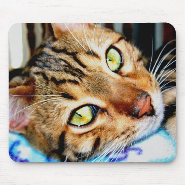 Mousepad Bengal katt Musmatta (Framsidan)