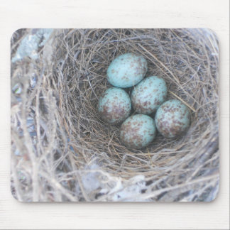 Mousepad Bird's Nest with Eggs Photography Musmatta