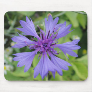 Mousepad blaue Kornblume Musmatta