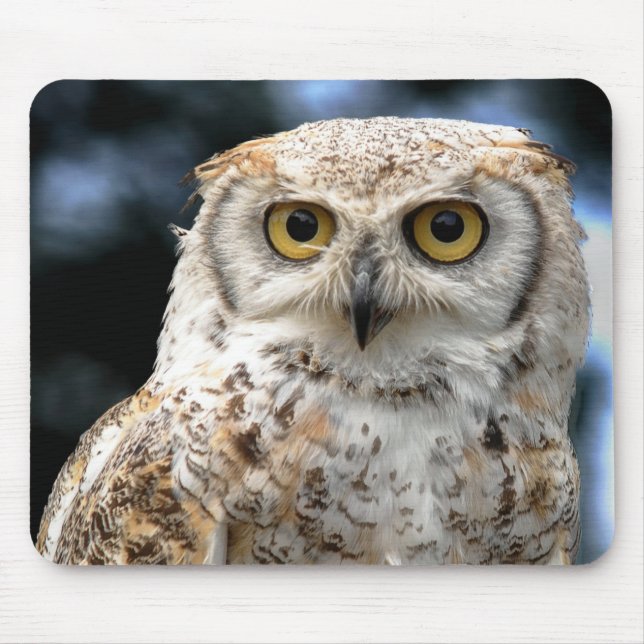 Mousepad Canadian Owl Musmatta (Framsidan)