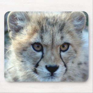 Mousepad-cheetah-cub10x10 Musmatta
