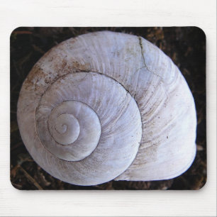 Mousepad coola snailshell musmatta