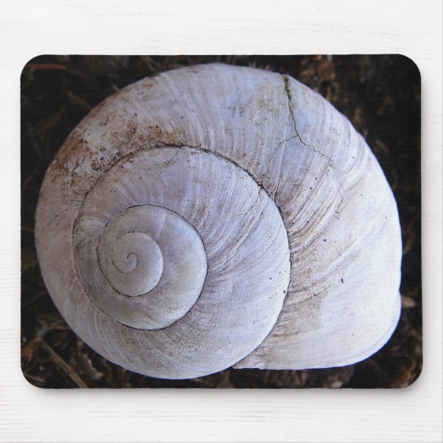 Mousepad coola snailshell musmatta (Framsidan)