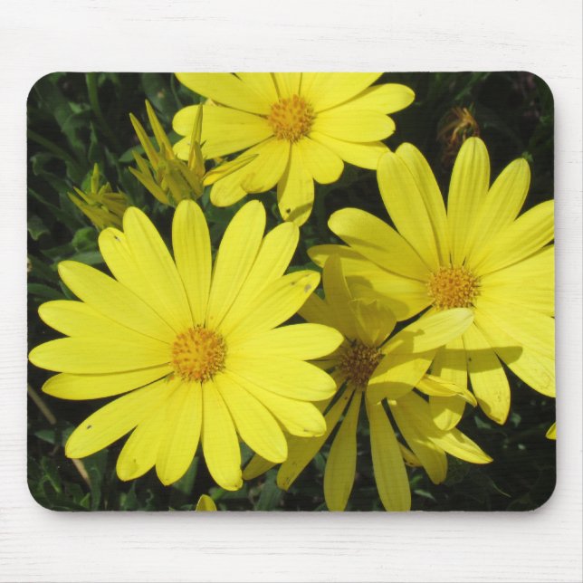 Mousepad - daisy för Gult Musmatta (Framsidan)
