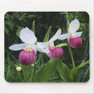 Mousepad-Dam häftklammermatareOrchids Musmatta