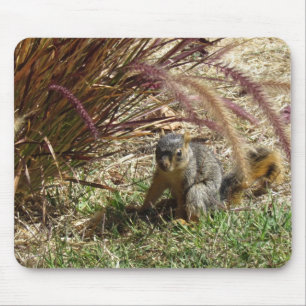 Mousepad - ekorre i Grass Musmatta