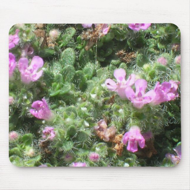 Mousepad - Elfin thyme Musmatta (Framsidan)