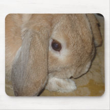 Mousepad eller Mousemat - Lop gå i ax dvärg- kanin