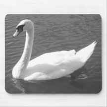 Mousepad eller Mousemat - Svan in Black & White
