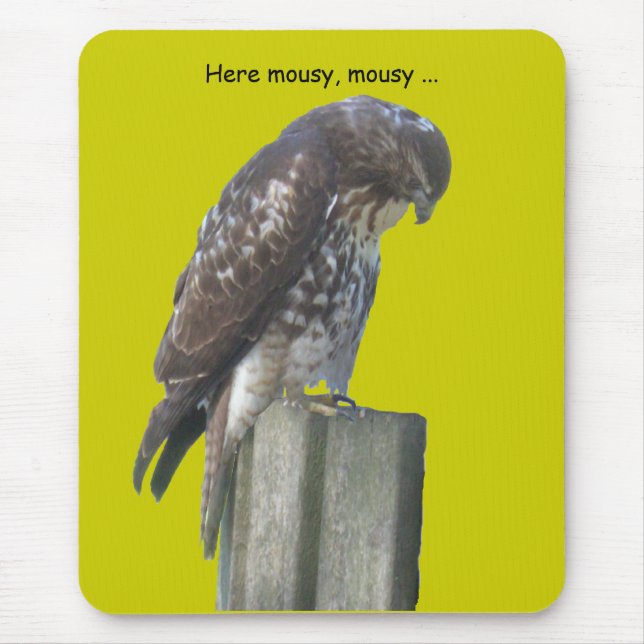 Mousepad - Falcon Musmatta (Framsidan)
