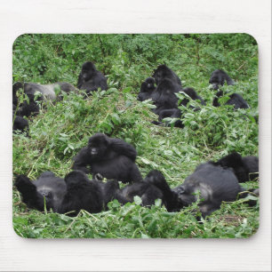 Mousepad för berggorillagrupp musmatta