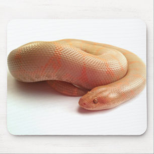 Mousepad för boa för Albinokenyansand Musmatta