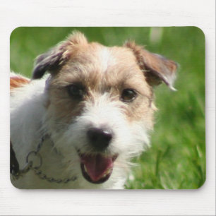 Mousepad för jackRussell Terrier Musmatta