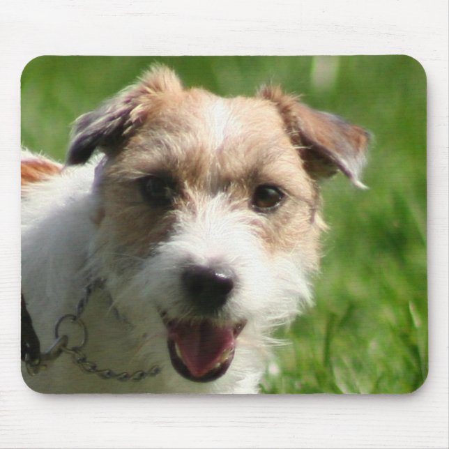 Mousepad för jackRussell Terrier Musmatta (Framsidan)