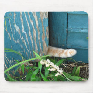 Mousepad för kattsvan~ musmatta
