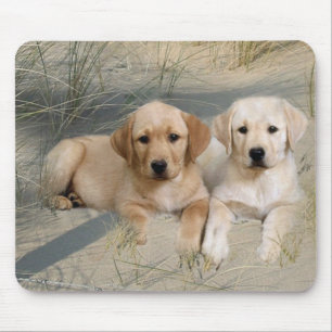 Mousepad för Labrador Retriever valpar Musmatta